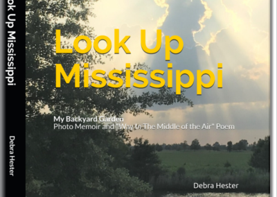 Look Up Mississippi, A Photo Memoir