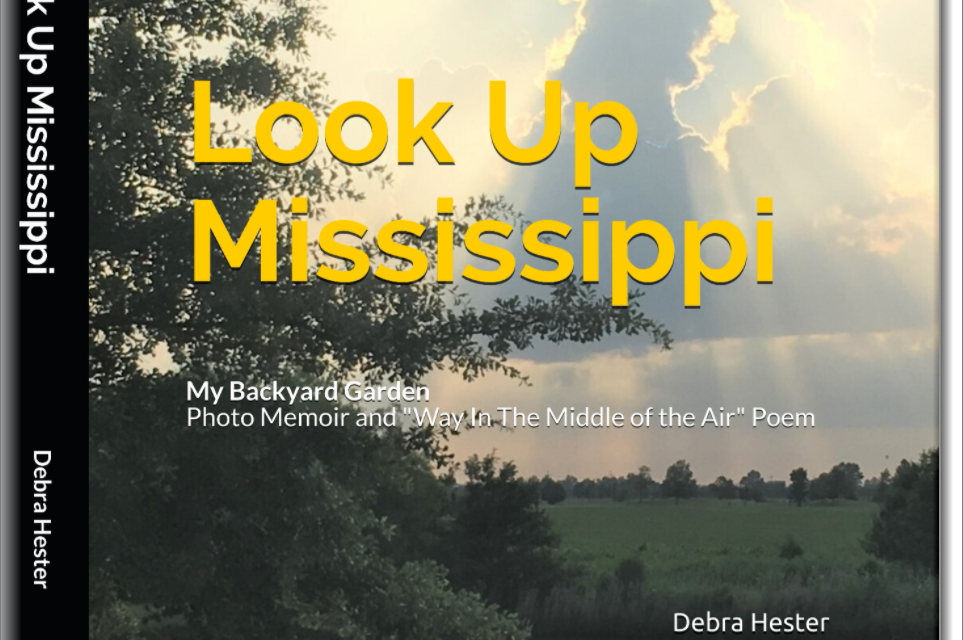 Look Up Mississippi, A Photo Memoir