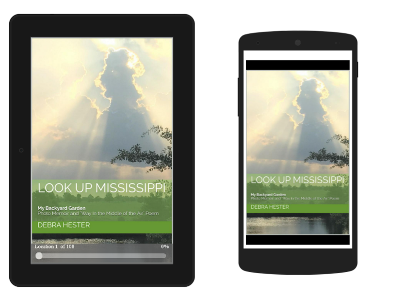 Digital Cover for Look Up Mississippi inspired by new Mississippi State Flag